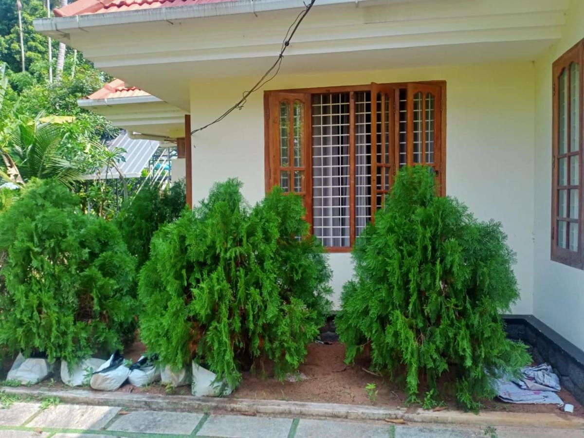 Sinai Homestay アーラップーザ県 エクステリア 写真