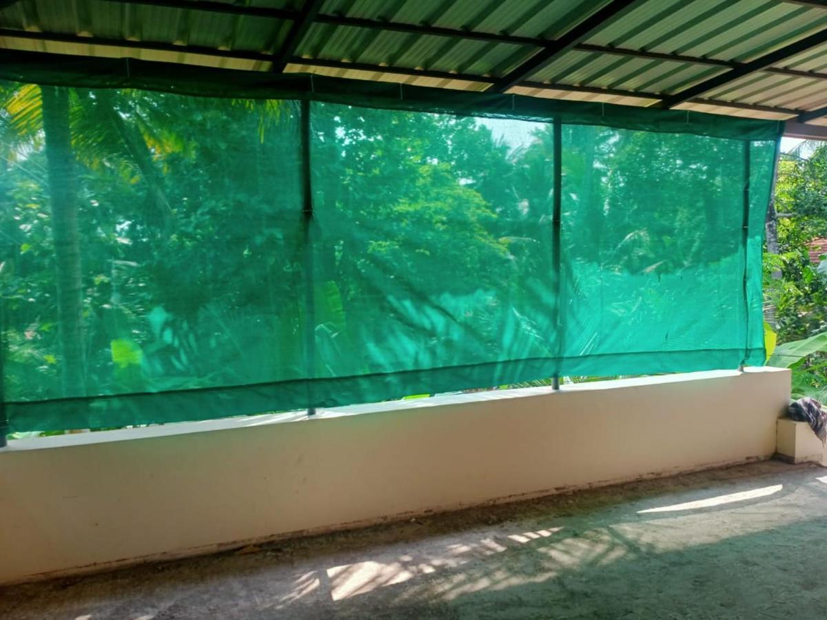 Sinai Homestay アーラップーザ県 エクステリア 写真